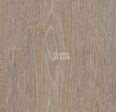 Кварцвиниловые полы Forbo Allura Click Pro 60295CL5 pure oak60293CL5 steamed oak фото 1 | FLOORDEALER